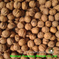 Chinese Walnut Kernels Light Pieces Handhelling (LP)